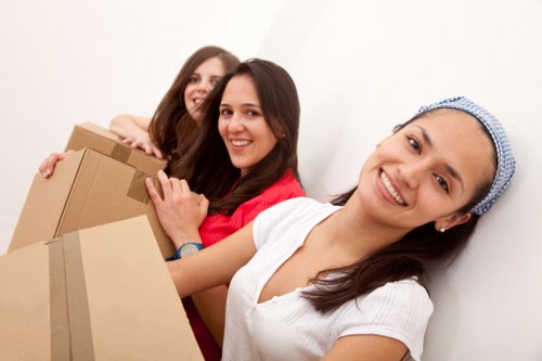 Selection of removal boxes and protective packing items